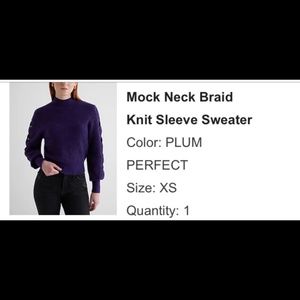 Express mock neck braid sleeve sweater